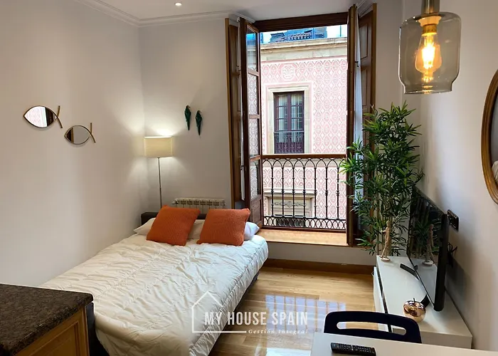 Myhousespain - Acogedor Plaza Mayor 2